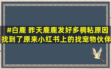 #白鹿 昨天鹿鹿发好多稠粘原因找到了,原来小红书上的找宠物伙伴的...