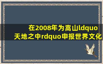 ( )在2008年为嵩山“天地之中”申报世界文化遗产制作了高浮雕拓片...