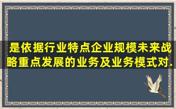 ( )是依据行业特点、企业规模、未来战略重点发展的业务及业务模式,对...