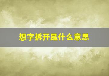 ( 想)字拆开是什么意思