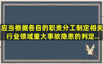 ()应当根据各自的职责分工,制定相关行业、领域重大事故隐患的判定...