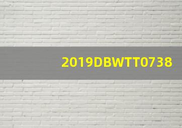 (2019)DBWTT0738