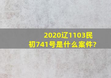 (2020辽1103民初741号)是什么案件?