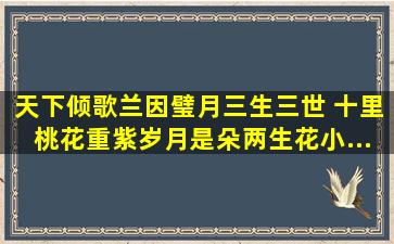 (天下倾歌)(兰因璧月)(三生三世 十里桃花)(重紫)(岁月是朵两生花)(小...