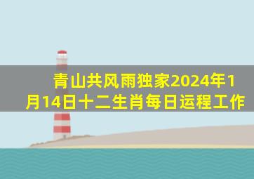 (青山共风雨)独家2024年1月14日十二生肖每日运程工作