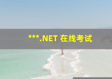 ***.NET 在线考试