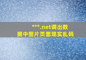 ***.net调出数据中图片页面现实乱码