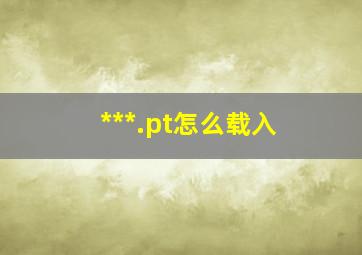 ***.pt怎么载入