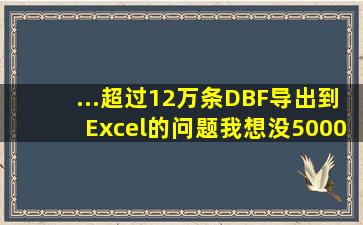 ...(超过12万条)DBF导出到Excel的问题,我想没5000条数据导出一个EX