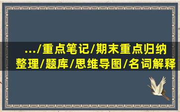 .../重点笔记/期末重点归纳整理/题库/思维导图/名词解释/简答题/网课...