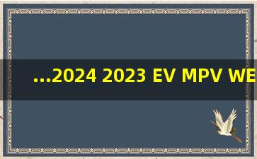 ...2024 2023 EV MPV WE ME Edition 702KM 822KM Zeeker MPV 009...