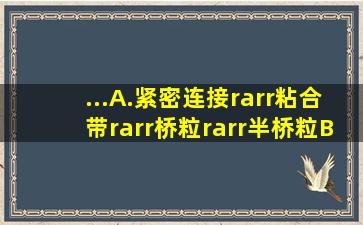 ...A.紧密连接→粘合带→桥粒→半桥粒B.桥粒→半桥粒→粘合带→...