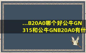 ...B20A0哪个好】公牛GN315和公牛GNB20A0有什么区别