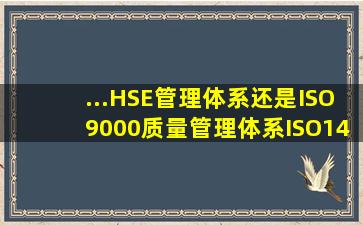 ...HSE管理体系,还是ISO9000质量管理体系、ISO14000环境管理体系...