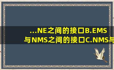 ...NE之间的接口B.EMS与NMS之间的接口C.NMS与其他管理系统之间...