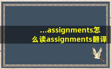...assignments怎么读assignments翻译用法