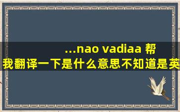 ...nao vadiaa 帮我翻译一下是什么意思不知道是英语还是葡萄牙语,