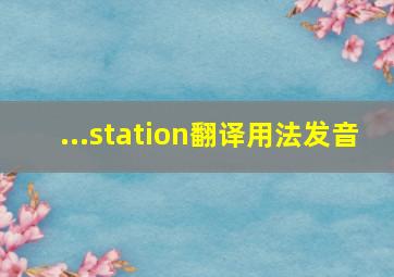 ...station翻译用法发音
