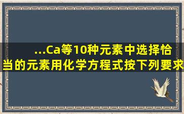 ...、Ca等10种元素中选择恰当的元素,用化学方程式按下列要求填空:(1)不