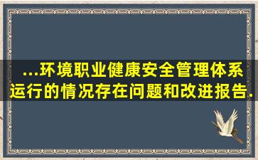 ...、环境、职业健康安全管理体系运行的情况、存在问题和改进报告...