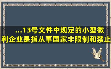 ...〕13号文件中规定的小型微利企业是指从事国家非限制和禁止行业...