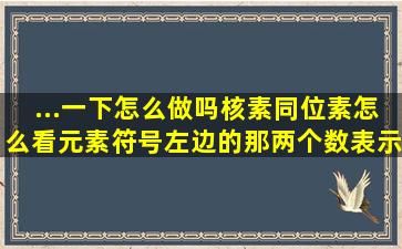 ...一下怎么做吗。核素同位素怎么看。元素符号左边的那两个数表示什么