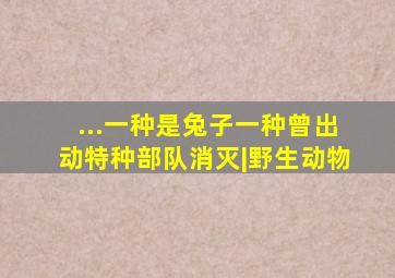 ...一种是兔子,一种曾出动特种部队消灭|野生动物