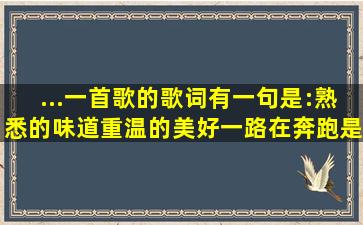 ...一首歌的歌词有一句是:熟悉的味道,重温的美好,一路在奔跑,是什么歌?