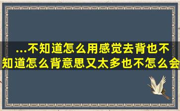 ...不知道怎么用,感觉去背也不知道怎么背,意思又太多也不怎么会理解,有