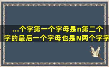 ...个字第一个字母是n第二个字的最后一个字母也是N两个字字母是什么