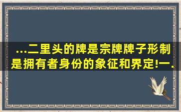 ...二里头的牌是宗牌。牌子形制是拥有者身份的象征和界定!一...