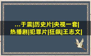 ...于震|历史片|央视一套|热播剧|犯罪片|狂飙|王志文|电视剧|警匪...