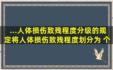 ...人体损伤致残程度分级》的规定,将人体损伤致残程度划分为( )个等级。