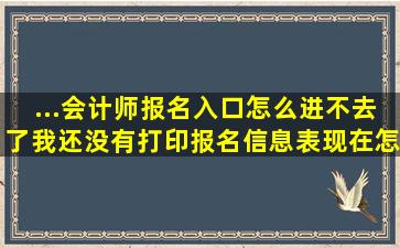 ...会计师报名入口怎么进不去了我还没有打印报名信息表现在怎么办(