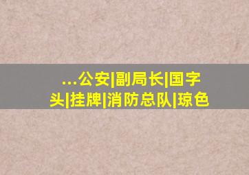 ...公安|副局长|国字头|挂牌|消防总队|琼色