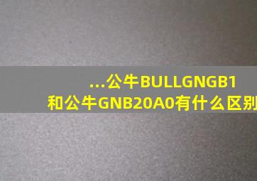 ...公牛(BULL)GNGB1和公牛GNB20A0有什么区别