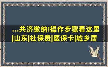 ...共济缴纳!操作步骤看这里|山东|社保费|医保卡|城乡居民