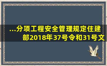 ...分项工程安全管理规定(住建部2018年37号令和31号文). 