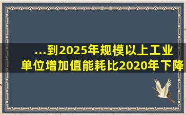 ...到2025年规模以上工业单位增加值能耗比2020年下降13.5%