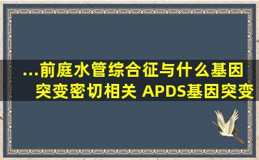 ...前庭水管综合征与什么基因突变密切相关( )A、PDS基因突变B、GJB...