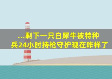 ...剩下一只白犀牛,被特种兵24小时持枪守护,现在咋样了