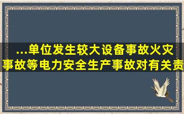 ...单位发生较大设备事故、火灾事故等电力安全生产事故,对有关责任人...