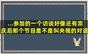 ...参加的一个访谈,好像还有宗庆后,那个节目是不是叫央视的《对话》