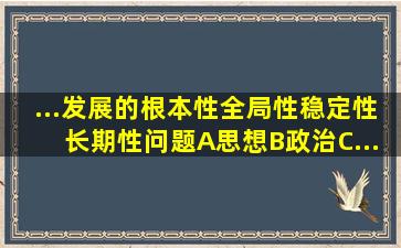 ...发展的根本性、全局性、稳定性、长期性问题。A、思想B、政治C、...