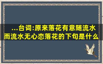 ...台词:原来落花有意随流水,而流水无心恋落花的下句是什么 