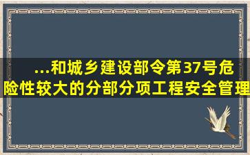 ...和城乡建设部令第37号《危险性较大的分部分项工程安全管理规定》