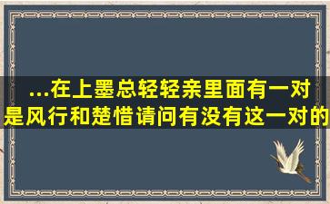 ...在上墨总轻轻亲里面有一对是风行和楚惜,请问有没有这一对的小说。