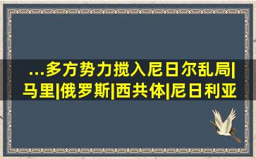 ...多方势力搅入尼日尔乱局|马里|俄罗斯|西共体|尼日利亚|布基纳法索...