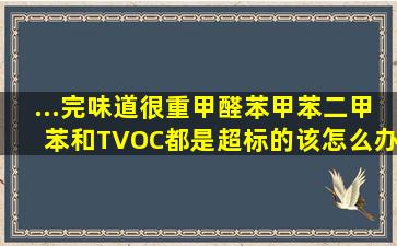 ...完,味道很重,甲醛、苯、甲苯、二甲苯、和TVOC都是超标的,该怎么办?