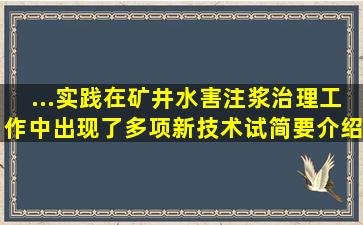 ...实践,在矿井水害注浆治理工作中出现了多项新技术。试简要介绍23项?